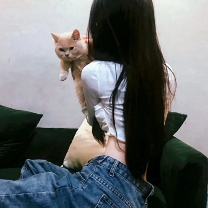 吸血鬼骑士第二季